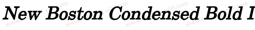 New Boston Condensed Bold Italic字体转换